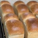 お食事パンセット